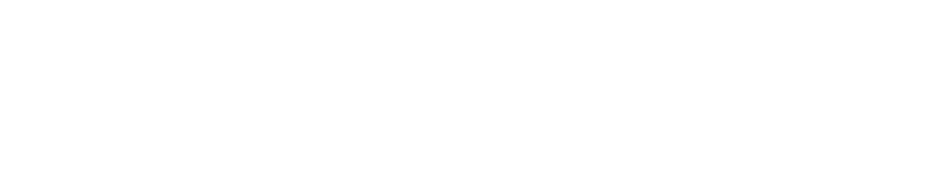 Wisconsin Institute for Research in Endoscopy
